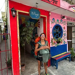  Guest house Mi Refugio Dive House Mexico